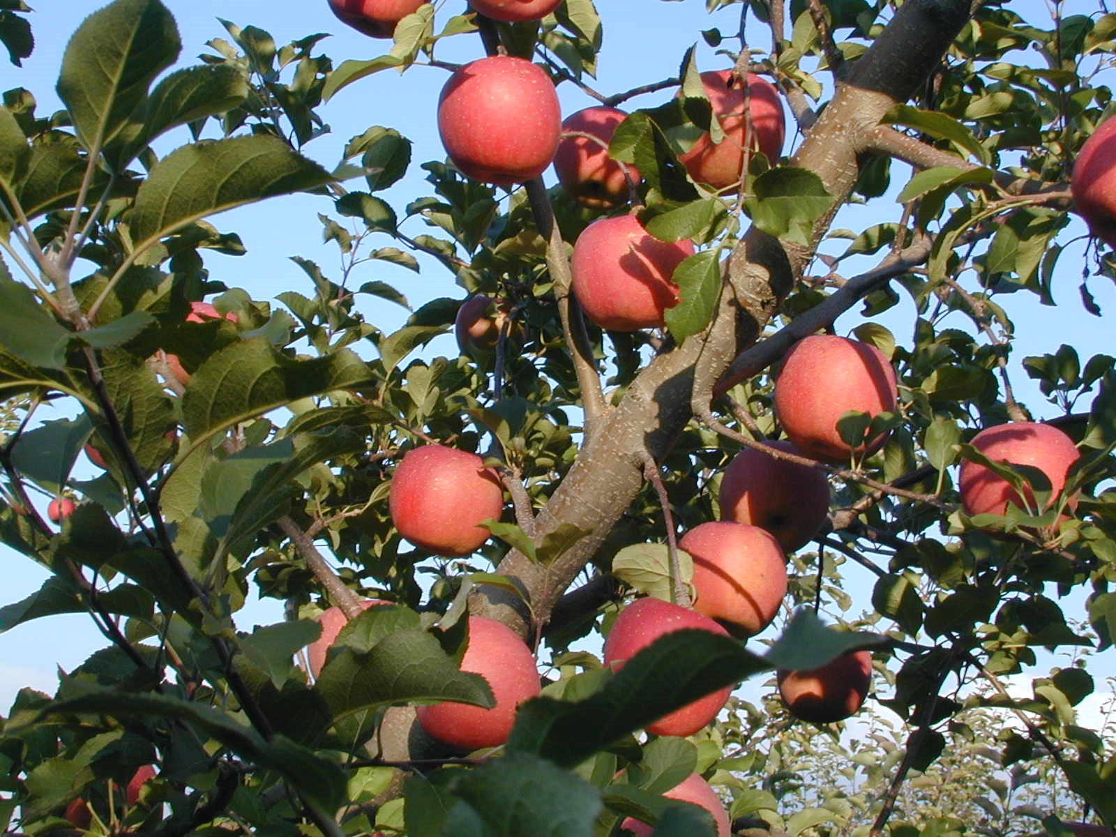 �����������������C���[�W